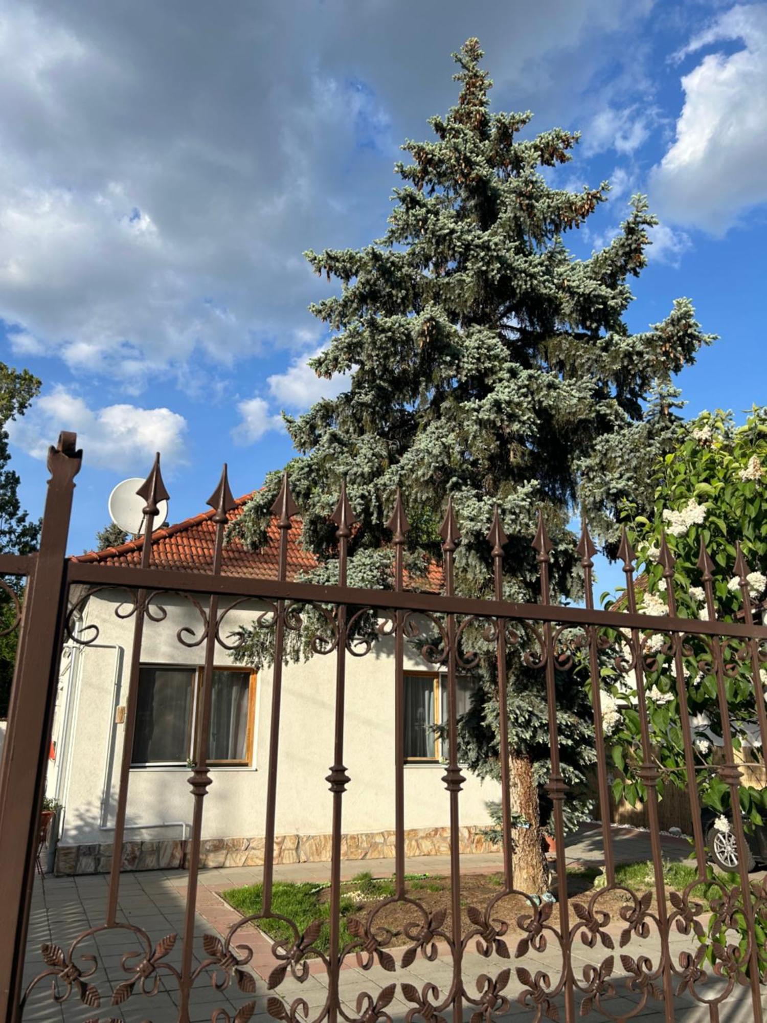 Tavaszpart Vendeghaz Appartement Szeged Buitenkant foto